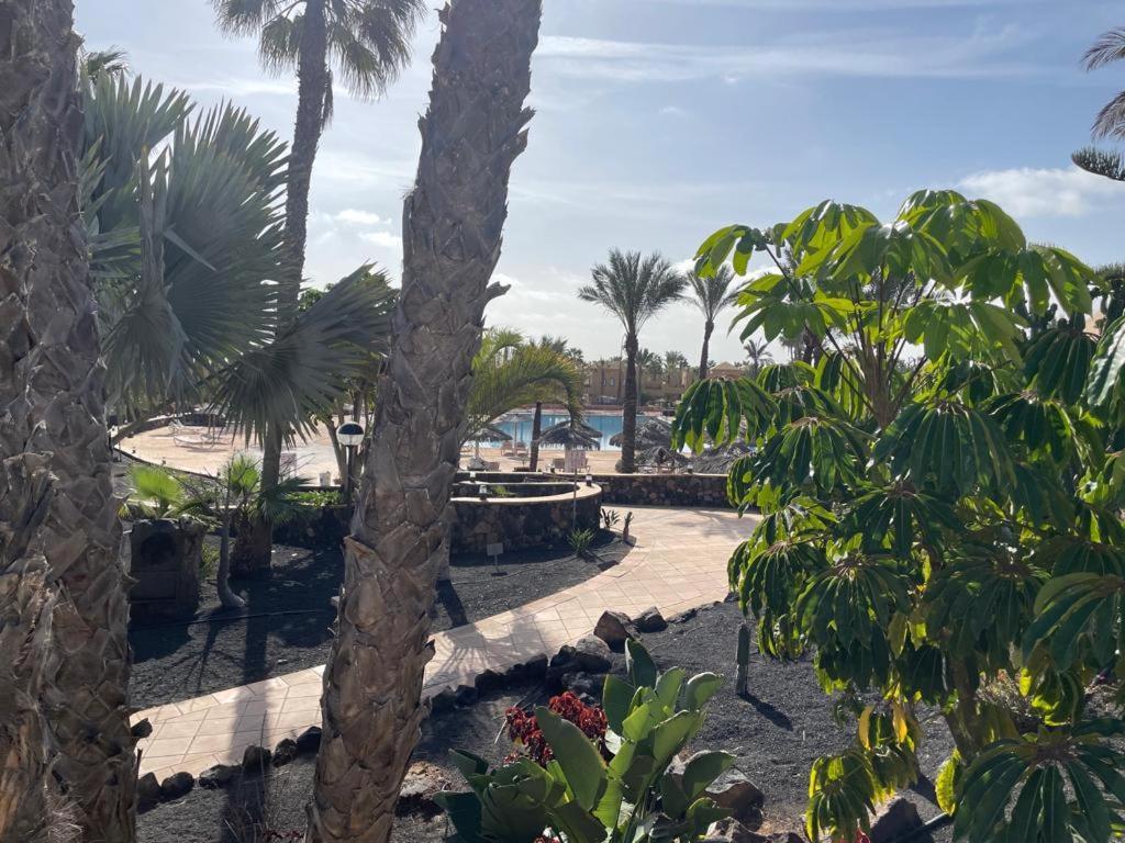 Apartamento Casa Mari Y Jose Con Grandes Piscinas Y Wifi Gratis Corralejo Exterior foto